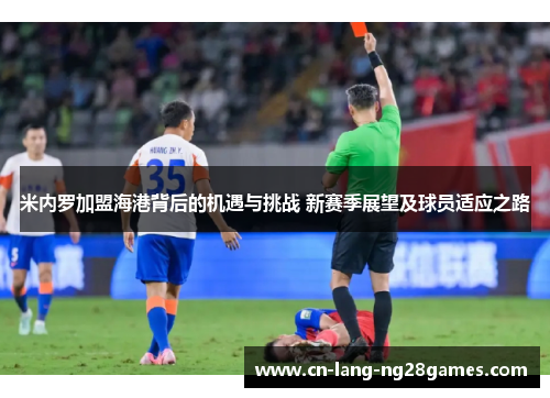米内罗加盟海港背后的机遇与挑战 新赛季展望及球员适应之路