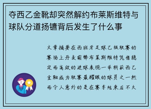 夺西乙金靴却突然解约布莱斯维特与球队分道扬镳背后发生了什么事