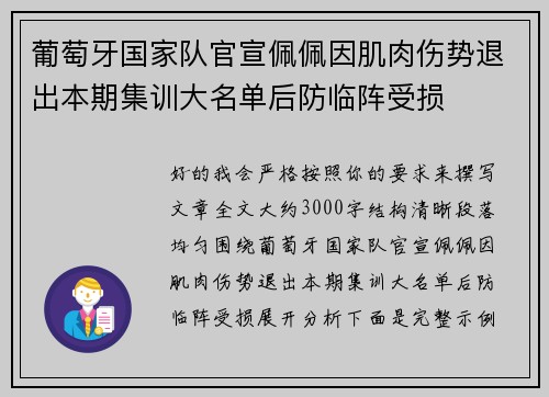 葡萄牙国家队官宣佩佩因肌肉伤势退出本期集训大名单后防临阵受损