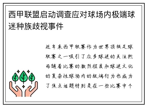 西甲联盟启动调查应对球场内极端球迷种族歧视事件